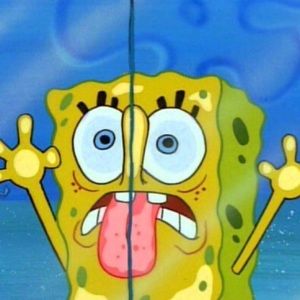 Meet your Posher, Annie